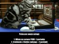 Polecam swoje usługi