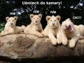 Uśmiech