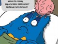 Mózg nocą