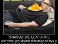 Prawdziwe lenistwo