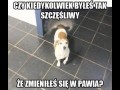 Czy kiedykolwiek byłeś tak szczęśliwy