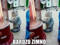 Bardzo zimno