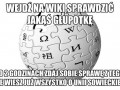 Typowa wikipedia