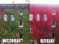 Wczoraj i dzisiaj