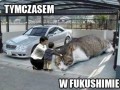 Fukushima