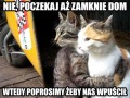 Poczekajmy