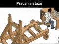 Staż