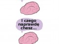 Wredny mózg