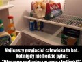 Najlepszy przyjaciel