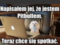 Powiedziałem jej że