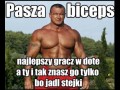 Paszabiceps