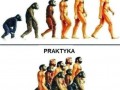 Teoria i praktyka