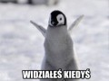 Pieniądze nie dadzą ci szczęścia