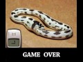 Game over