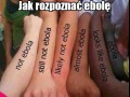 Czy to już ebola