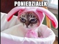 Poniedziałek wita