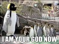 I am your god now