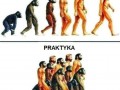 Tak to wygląda