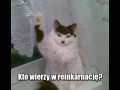 Twarz jakaś znajoma