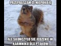 Sorka