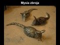 Mysie zbroje 