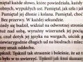 Księga jesiennych demonów