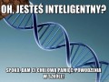 Oh jesteś inteligentny