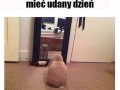 Awwww 3