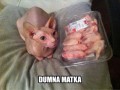 Duma ją rozpiera 