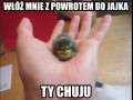 Niezadowolenie ze świata