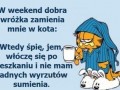 W weekend zamieniam się w kota