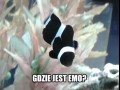 Emo