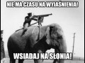 Wsiadaj na słonia