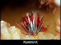 Karminit