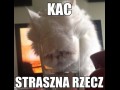 Efekt uboczny
