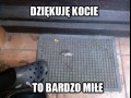 Dzięki