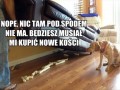 Psie sekrety