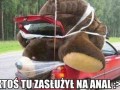 Ktoś tu zasłużył