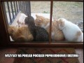 Na pokład