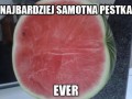 Samotna pestka
