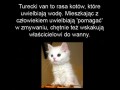 Wodny koteł