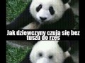 Niestety tak to wygląda