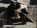 Pomyślała że jedziemy bez niej