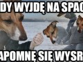 Kiedy wyjdę na spacer