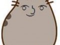 Taki tam hehe pusheen
