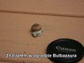 Bulbazaur