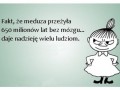 Fakt że meduza