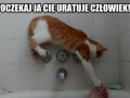 Ratownik