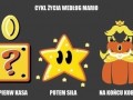 Cykl życia według mario