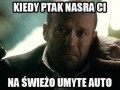 Kiedy ptak